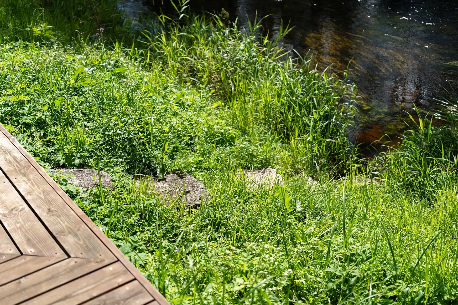 Galerii foto Sangaste Villaveskist 6